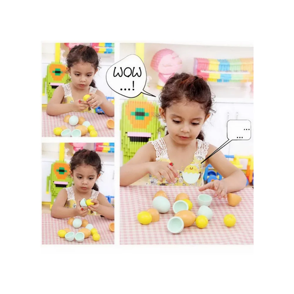 مراحل نمو البطة